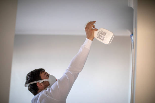 Best White Mold Remediation in Bolivar, WV