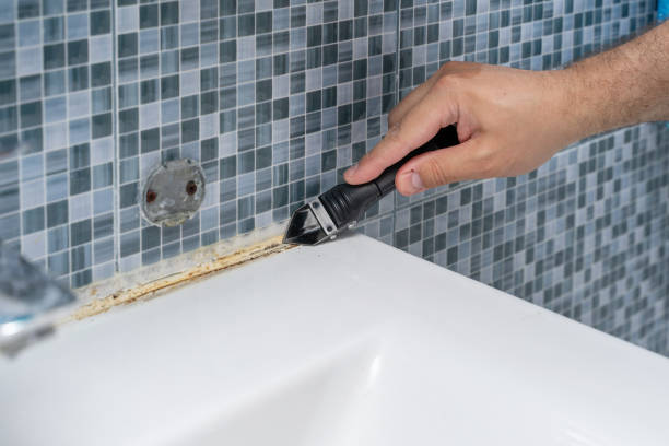 Best Black Mold Remediation in Bolivar, WV