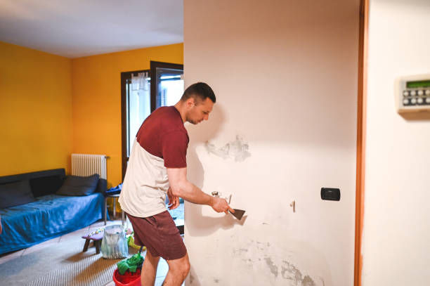Best DIY Mold Remediation Support Services in Bolivar, WV